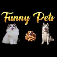 Funny pets